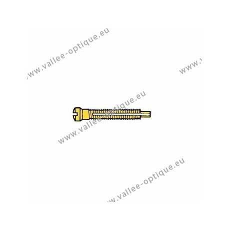 Screw with locking system by nylon thread 1.4 x 1.9 x 11 - gold