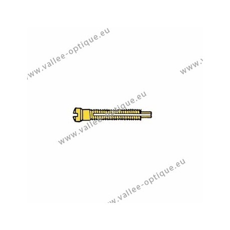 Screw with locking system by nylon thread 1.5 x 1.9 x 11 - gold
