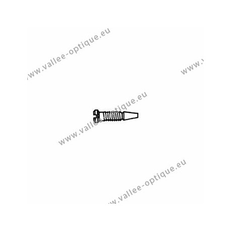 Stainless steel self-centering screw 1.3 x 2.0 x 3.5 - white