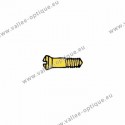 Screw for closing blocks and hinges 1.4 x 1.9 x 5.8 - gold