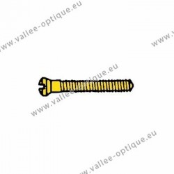 Screw in stainless steel 1.4 x 1.8 x 10.6 - gold