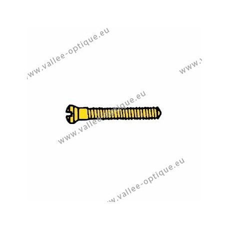 Screw in stainless steel 1.4 x 1.8 x 10.6 - gold