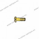 Screw for closing blocks and hinges 1.4 x 2.5 x 5.2 - gold