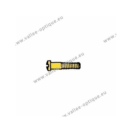 Screw in stainless steel 1.2 x 1.8 x 10.6 - gold