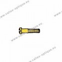 Screw in stainless steel 1.2 x 1.8 x 10.6 - gold
