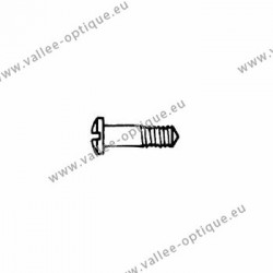 Stainless steel screw 1.4 x 2.5 x 7.0 - white