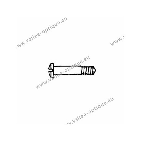 Screw in stainless steel 1.6 x 2.5 x 10 - white