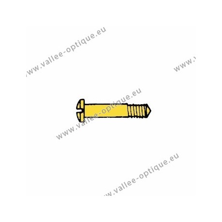 Screw in stainless steel 1.6 x 2.5 x 10 - gold