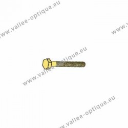 Hexagonal head screw 1.4 x 2.6 x 8.8 - gold