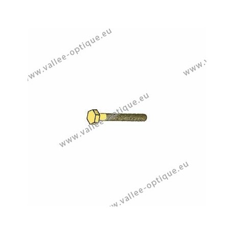 Hexagonal head screw 1.4 x 2.6 x 8.8 - gold