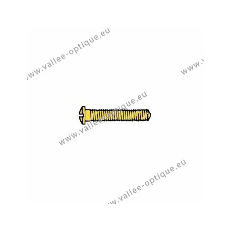 Screw threaded under head 1.6 x 2.5 x 10 - gold