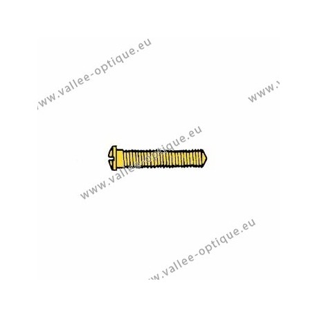 Screw threaded under head 1.8 x 2.5 x 10 - gold