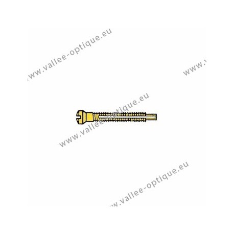 Screw with locking system by nylon thread 1.2 x 1.9 x 11 - gold