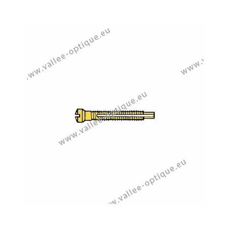 Screw with locking system by nylon thread 1.3 x 1.9 x 11 - gold