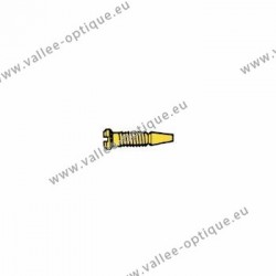 Stainless steel self-centering screw 1.4 x 2.0 x 4.0 - gold